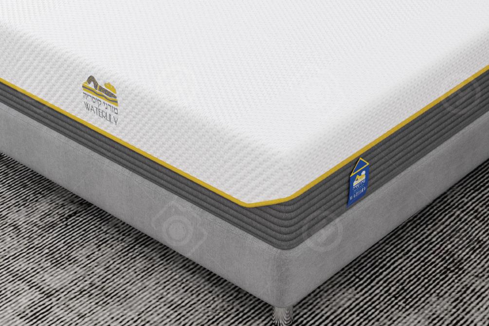 ������ ����